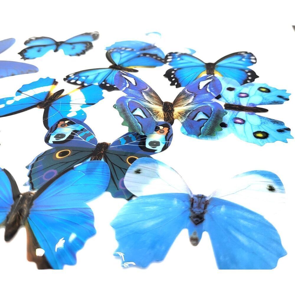 Lot of 90 3D Craft Butterflies 2in+ 13 Blue 19 Pink 22 Orange 11 Purple 25 Green
